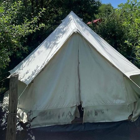 Cabana Carolina Sebesláz Kültér fotó