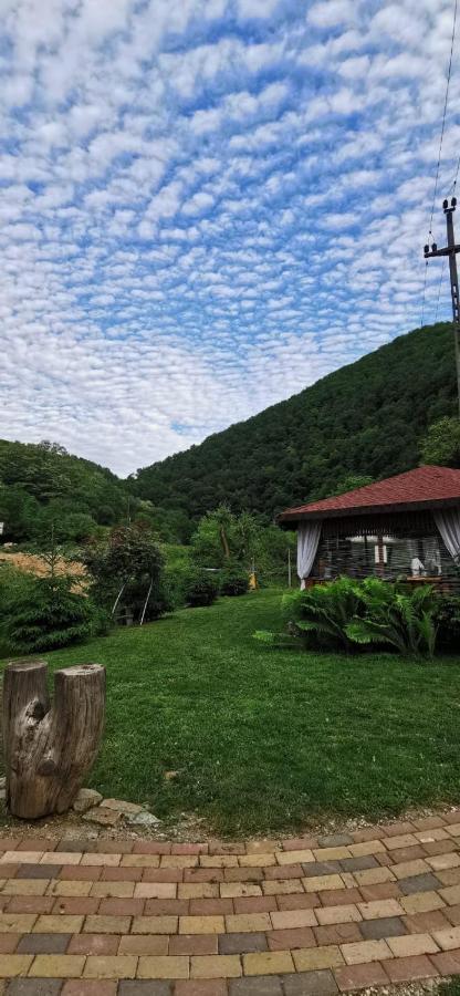 Cabana Carolina Sebesláz Kültér fotó