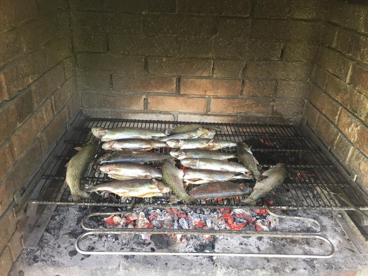 Cabana Carolina Sebesláz Kültér fotó